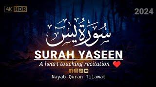 World's Most Beautiful  Quran Recitation Of Surah Yasin (Yaseen) سورة يس | Nayab Quran Tilawat