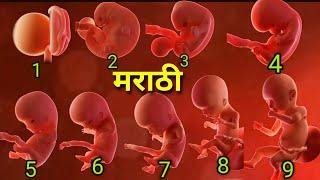 pregnancy 1 to 9 months video marathi,1 to 9 months baby development in marathi, pregnancy 9 months