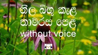 Neela Bingu Kela Karaoke (without voice) නීල බිඟු කැල