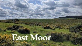 East Moor, Near Altarnun - Explore Bodmin Moor