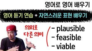 ⟪ 영어로 영어 배우기 ⟫ plausible, feasible, viable