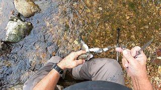 Easy way to field clean trout