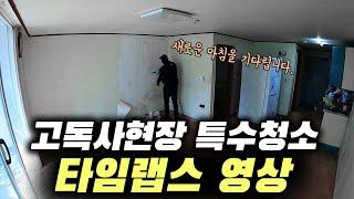 유품정리사 김새별 고독사현장 타임랩스 special cleaning Time Lapse