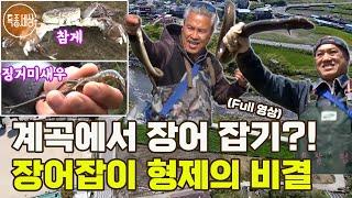 [특종세상] 계곡에서 장어를 잡는다고?! 장어잡이 형제의 특별한 비결은? [Full영상]