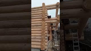 Log cabins in the mountains