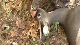 Michael Wyatt first deer of 2010 @WMA Alabama creek