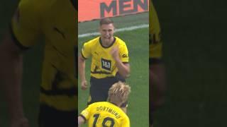 Schlotterbeck‘s crazy goal celebration 