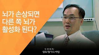 뇌가 손상되면 다른 쪽 뇌가 활성화 된다? - (2016.11.16_600회 방송)_뇌의 기적 - 제 1편 회복