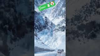 #snowfall #snow #nature #song #sonmarg #natrualbeauty #roadtrip #valley #mustvisit #love #subscribe