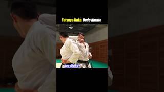 Spinning elbow strike!【Budo Karate】