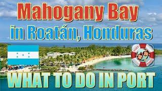 Mahogany Bay - Roatán, Honduras - What to Do on Your Day in Port