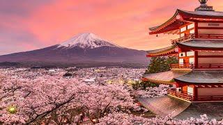 Beautiful Japanese Music – Cherry Blossoms [2 Hour Version]