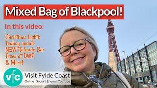 Mixed Bag of Blackpool! Tea Boy | Trees at DWP | NEW Bar | Santa & Xmas Lights!