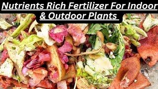 Homemade Organic Fertilizer For Plants From Kitchen Waste / How To Make Organic Liquid Fertilizer