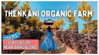 Thenkani Organic Farms | STAYCATION NEAR BANGALORE | Travel #Vlog | #karnataka | Chillystudio