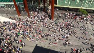 Waka Waka Biggest flashmob in the Netherlands