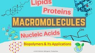 Biopolymers: A Guide to Eco-Friendly Materials (3 Minutes)