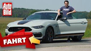 Ford Mustang Mach 1 (2021) | Top Gun für die Strasse | Fahrt mit Dennis Petermann