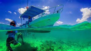 MayBe The BEST Snorkeling Tour in Cozumel?