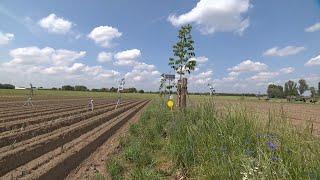 De mogelijkheden en kansen voor agroforestry - Tournée Provinciale West-Vlaanderen