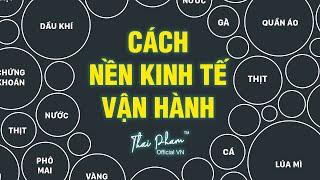 P11: CHỨNG KHOÁN A BỜ CỜ NỀN KINH TẾ VẬN HÀNH NHƯ THẾ NÀO? GIÚP BẠN KIẾM CỰC KÌ NHIỀU TIỀN, GIÀU CÓ