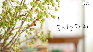 플라워레슨 628 꽃덤불 화기 센터피스 Flower lesson 628 Flower bushesUrn floral arrangement