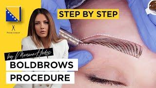 Bold Brows Perfection by Phi academy  - Step by Step Boldbrows professional training