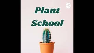 Plant Myth or Not; Can Plants Smell? | Ep. 52