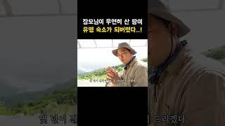 장모님의 선견지명 클라쓰...!