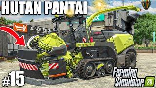 Cutting MAIZE SILAGE w/ THE BIGGEST HARVESTER in FS25 | Farming Simulator 25 - HUTAN PANTAI | Ep 15