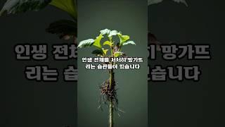 인생을 망치는 사소한 습관 4가지