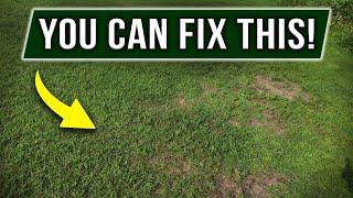 Fix your UGLY Lawn STARTING NOW.