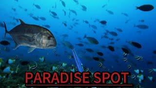 SPEARFISHING PHILIPPINES || HIDDEN PARADISE || MEL SPEARFISHING TV || BANTON