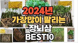 2024년 인기있는 장뇌삼 추천순위 TOP10