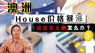 【澳洲地产】澳洲独立屋House价格暴涨，我还没有买到房怎么办？