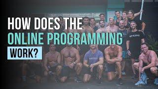 How does the Body by Brando Online Programming work?