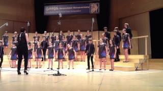 Peques Final Debrecen   Vox Tronica   Tobin Stokes