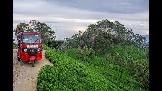 Tuk-tuk Rental in Sri Lanka