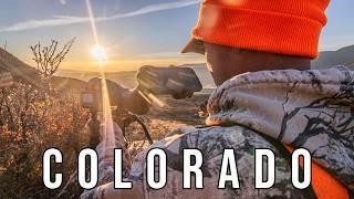 No Tent Backpacking For Mule Deer | BIG BUCKS EVERYWHERE | DIY Public Land 3rd Season Rifle Hunt