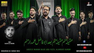 Momin Abad 2024 | New Noha | عقیلہ منم | Aqeele Manam | Daste Hussaini Mominabad | Ayam e Muharram