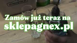 Sklep Agnex - Najlepsze Przyprawy i Bakalie