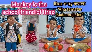 Ifraz ও সবার মতো try করলো "Aha tamatar bade majedar"| Monkey is school friend of Ifraz #youtubevideo