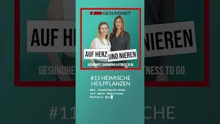 Auf Herz und Nieren – #11 Heimische Heilpflanzen