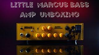 Marcus Miller 500w Bass Amp - Mark Bass Epic Unboxing