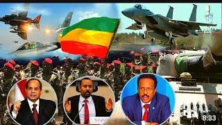 የግብፅ መንግስት በሞቃዲሾ እና ኢትዮጵያ ስለደረሰው የጦር መሳሪያ ዜና አውጥቶ ስለቀጠለው እቅድ ተናግሯል።