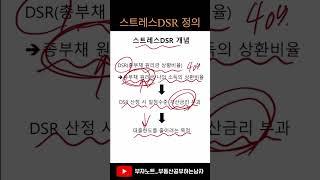 스트레스DSR 정책의 정의, 개념