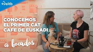 Conocemos el primer Cat Cafe de Euskadi, en Bilbao