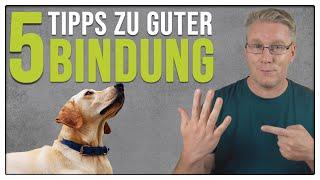 Sofort bessere BINDUNG! - 5 Tipps, für eine gute Beziehung zwischen Mensch und Hund