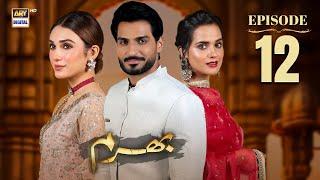 Bharam Episode 12 | Hina Tariq | Rabya Kulsoom | Omer Shahzad | 12 Dec 2024 | ARY Digital