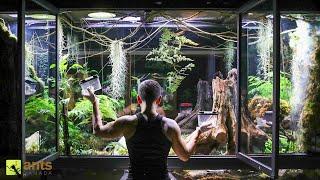 I Added Animals Into My Giant Rainforest Vivarium